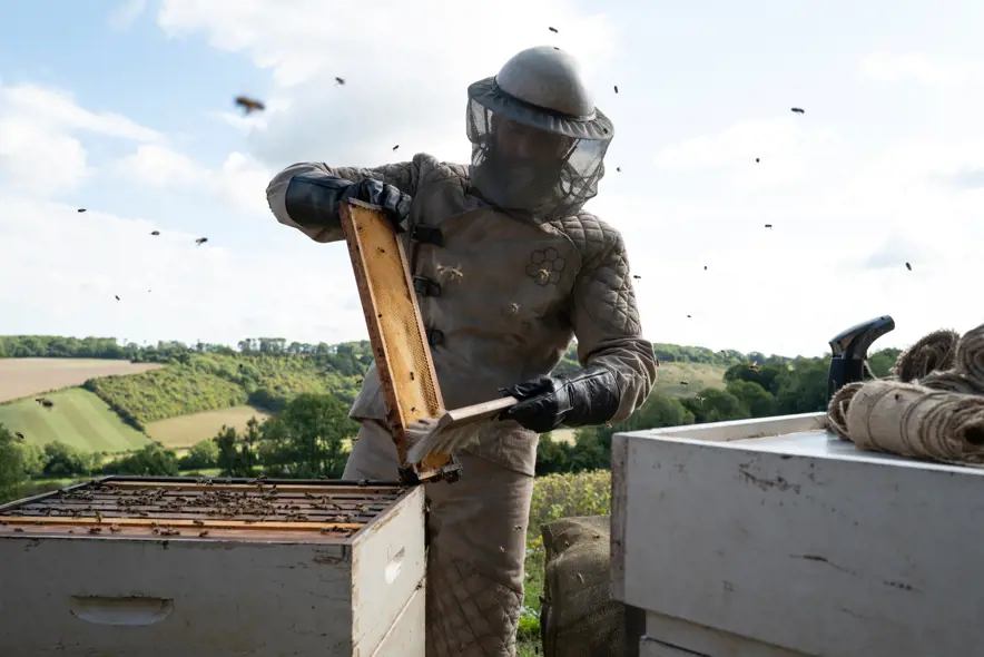 The Beekeeper Box Office Delivers a Sting to Mean Girls as January Box Office Grinds to a Halt.