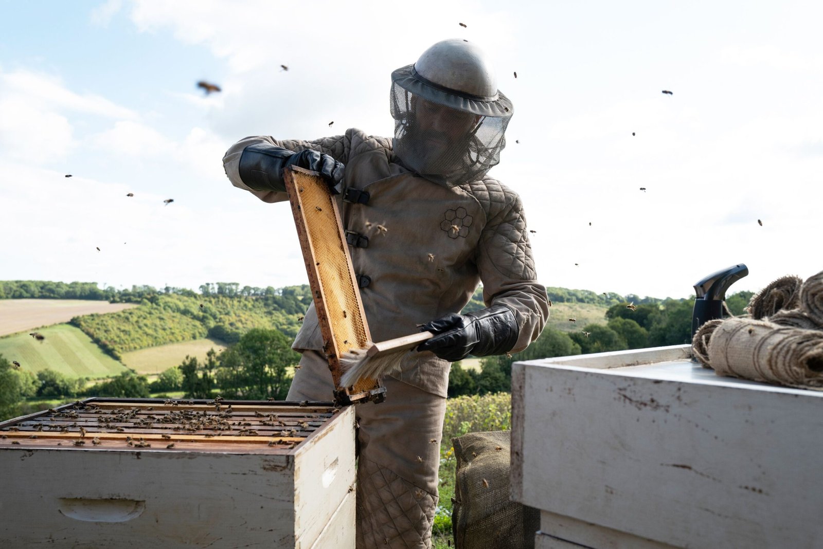 The Beekeeper Box Office